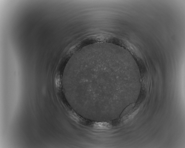 X0000116860137200912291307