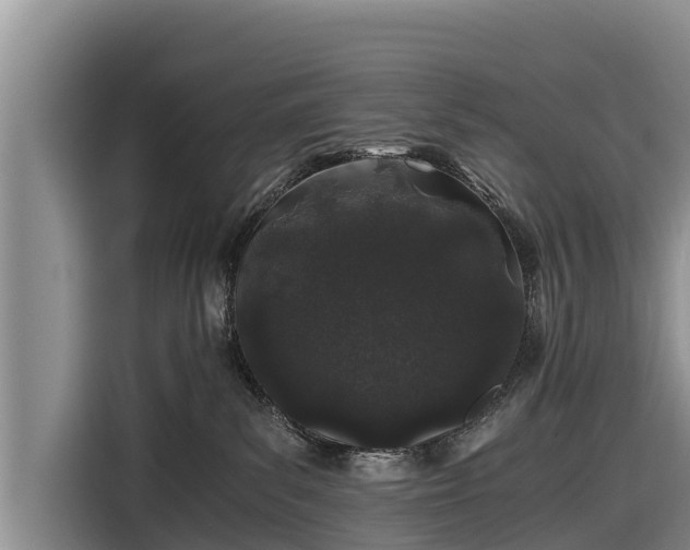 X0000116860139200912291307