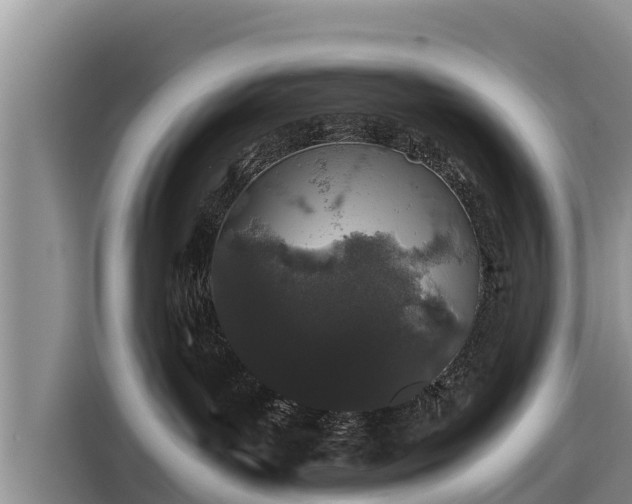 X0000116860143200912291307