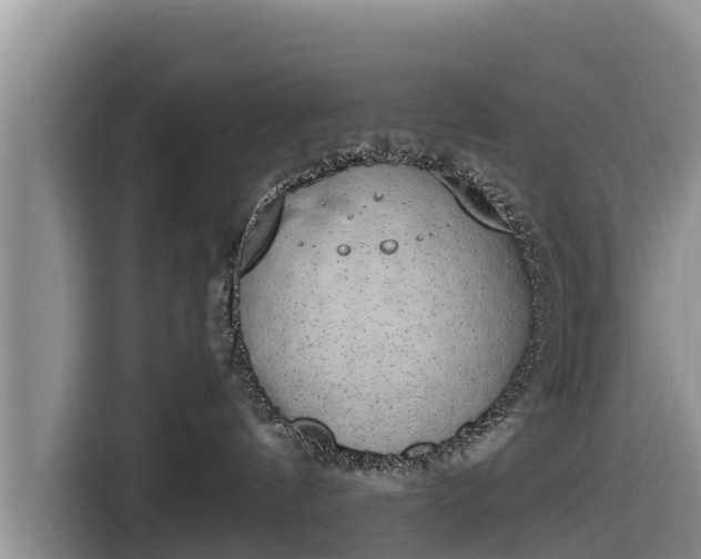 X0000116860144200912291307