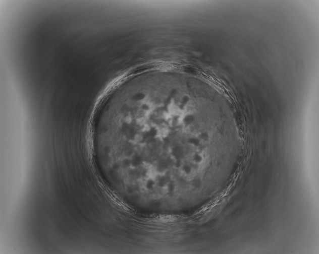 X0000116860149200912291306