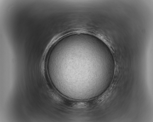 X0000116860151200912291306