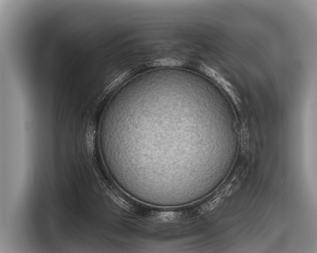 X0000116860153200912291306