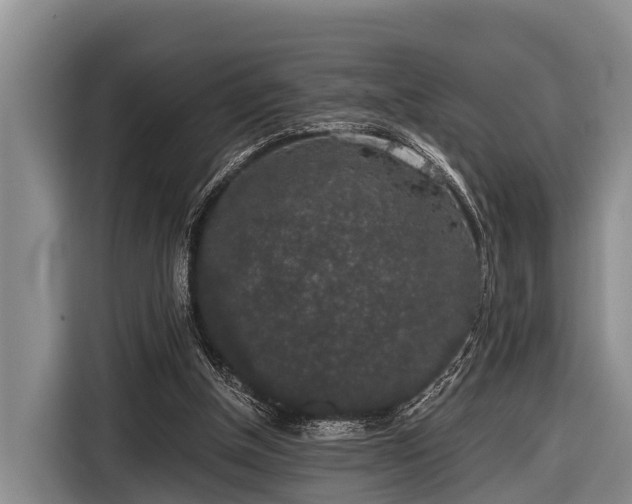 X0000116860154200912291307