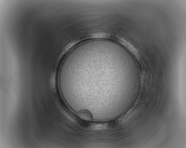 X0000116860155200912291307