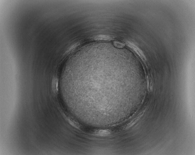 X0000116860157200912291307