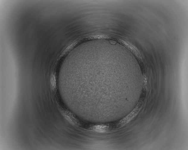 X0000116860158200912291307