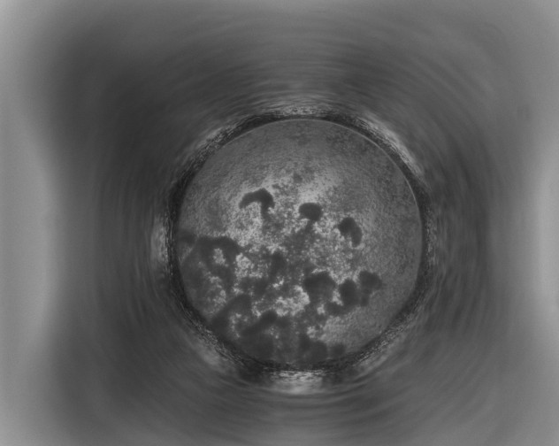 X0000116860161200912291307