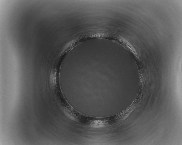 X0000116860163200912291307