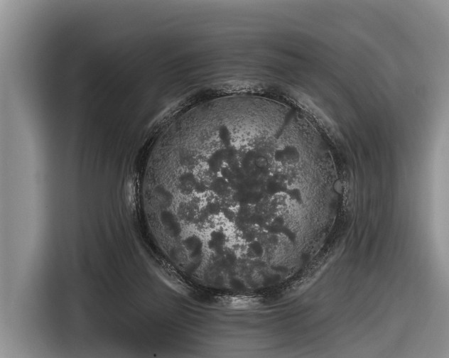 X0000116860165200912291307