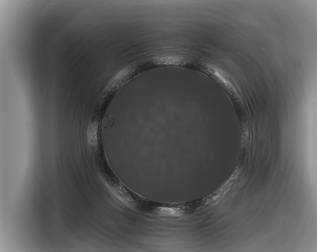 X0000116860167200912291307