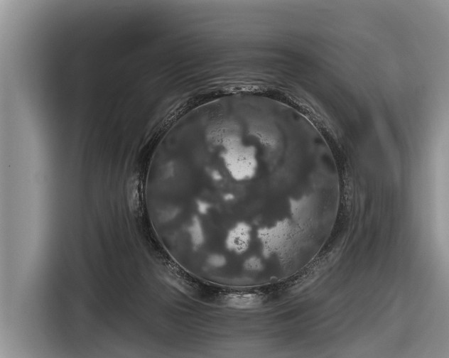 X0000116860169200912291307