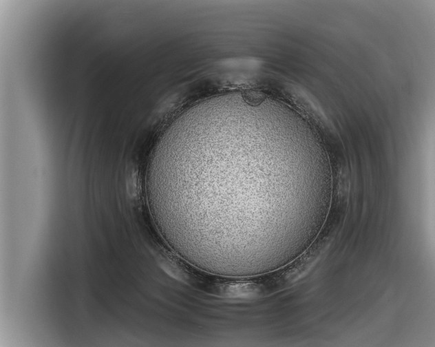 X0000116860173200912291307