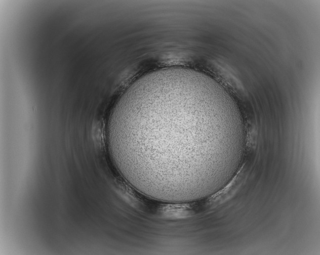 X0000116860179200912291307