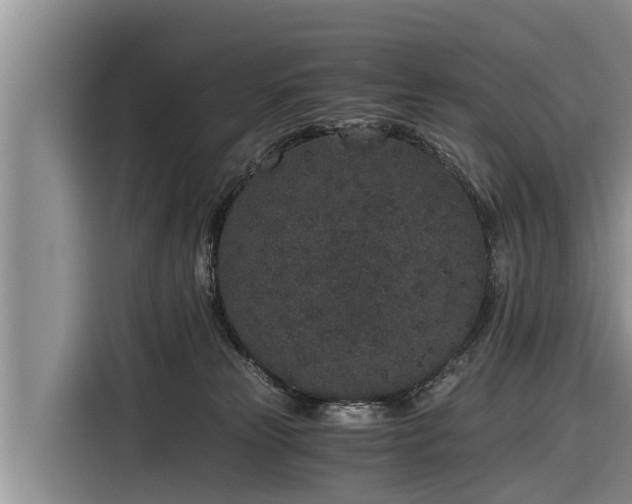 X0000116860181200912291307