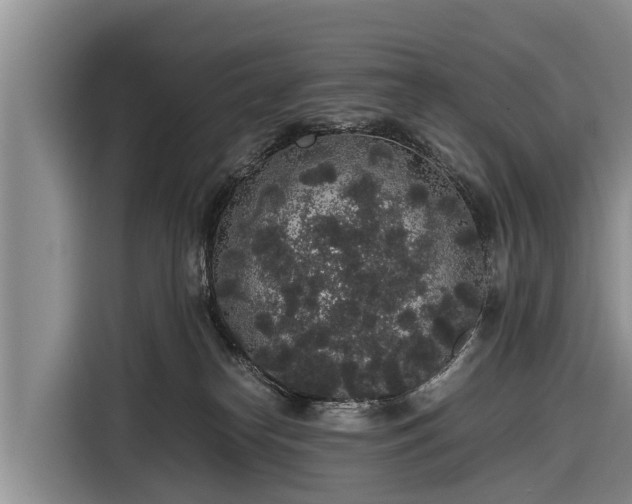 X0000116860182200912291307