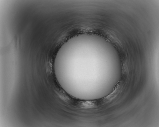 X0000116860183200912291307