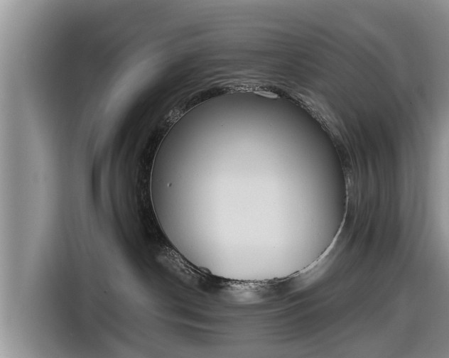 X0000116860190200912291307