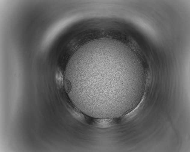 X0000116860191200912291307