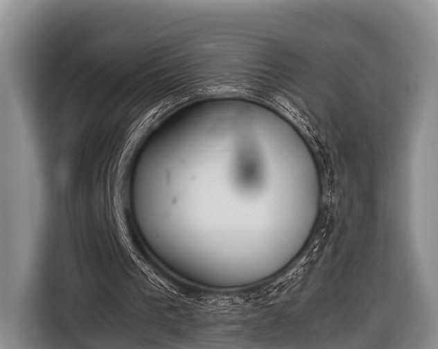 X0000116860193200912291306