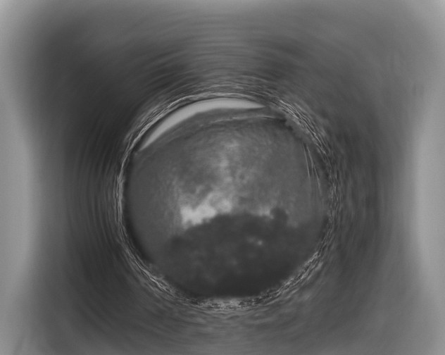 X0000116860194200912291306