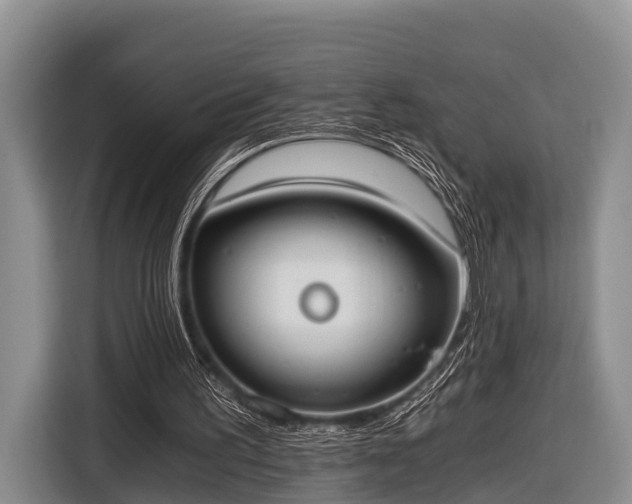 X0000116860195200912291306