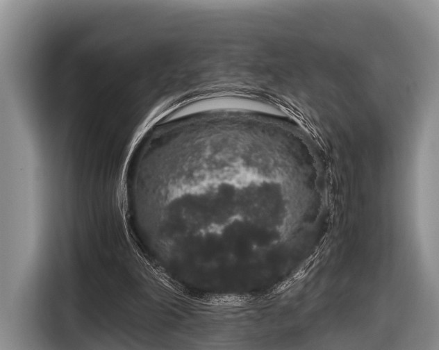 X0000116860198200912291306