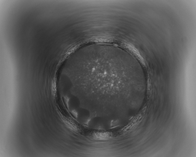 X0000116860202200912291306