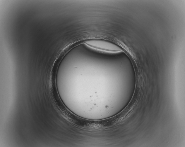 X0000116860203200912291306