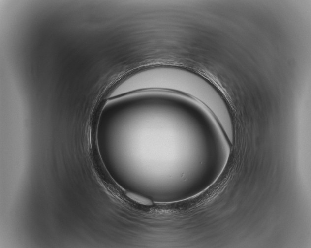 X0000116860205200912291306