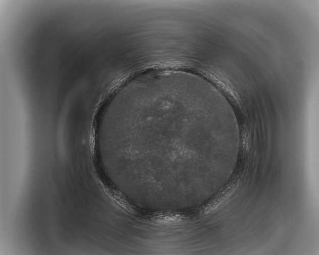 X0000116860206200912291306