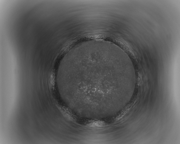 X0000116860210200912291306