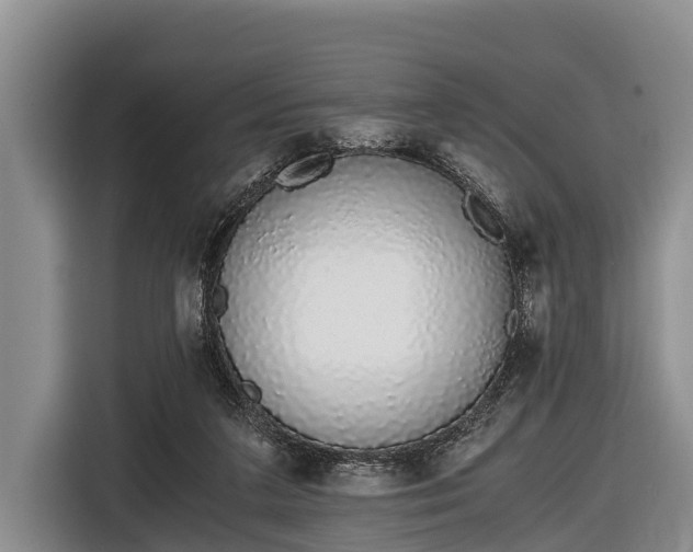 X0000116860211200912291306