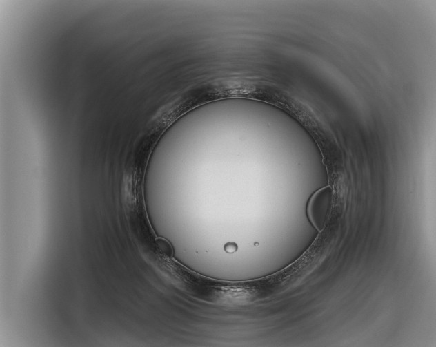 X0000116860218200912291306