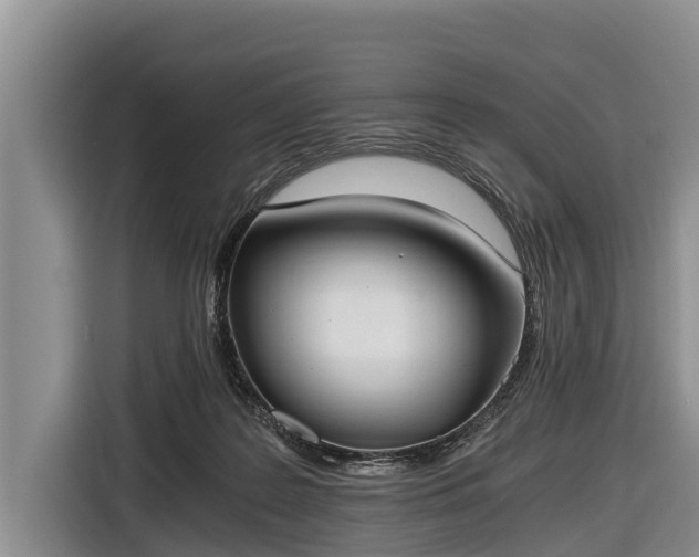 X0000116860219200912291306