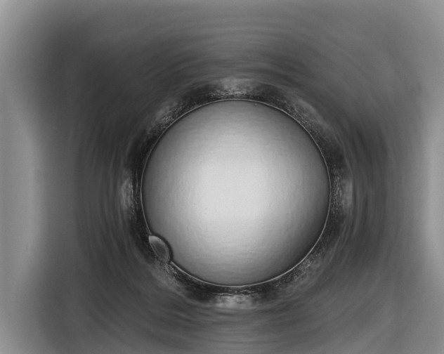 X0000116860220200912291306