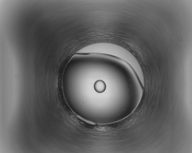 X0000116860221200912291306