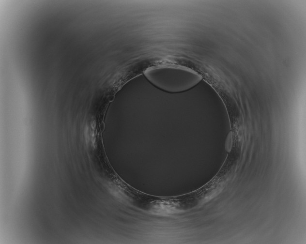 X0000116860223200912291306