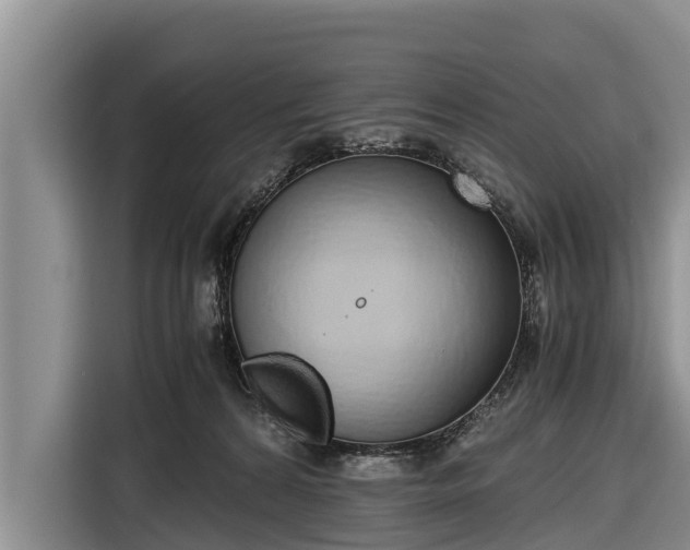 X0000116860224200912291306