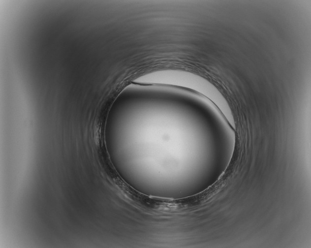 X0000116860227200912291306