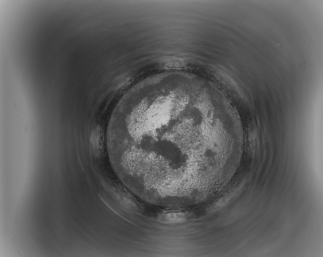 X0000116860228200912291306