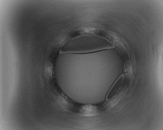 X0000116860231200912291306