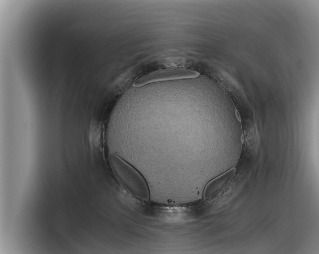 X0000116860233200912291306