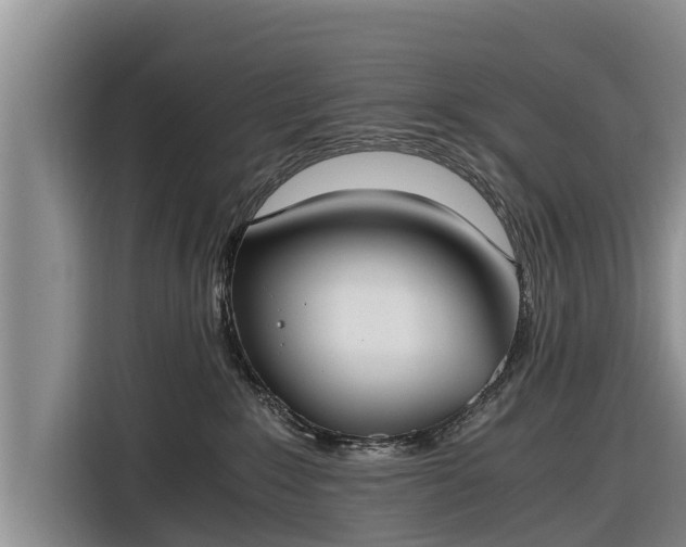 X0000116860235200912291306