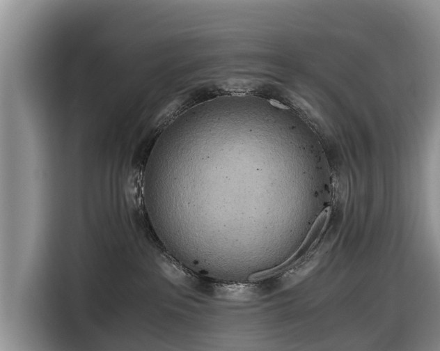 X0000116860237200912291306