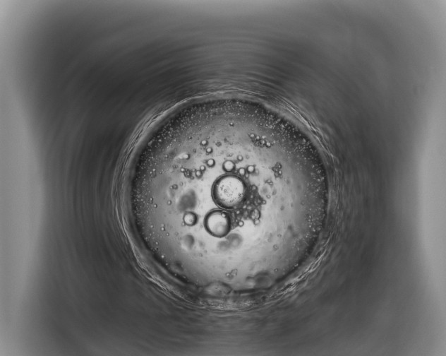 X0000116860241200912291305