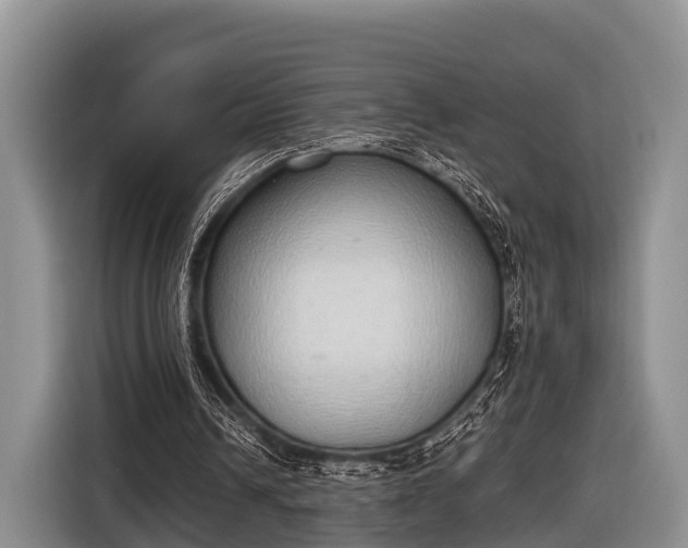 X0000116860242200912291305