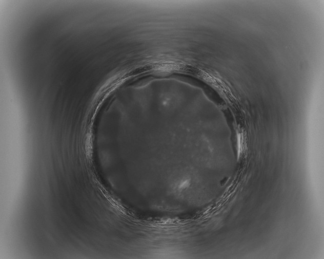 X0000116860243200912291305