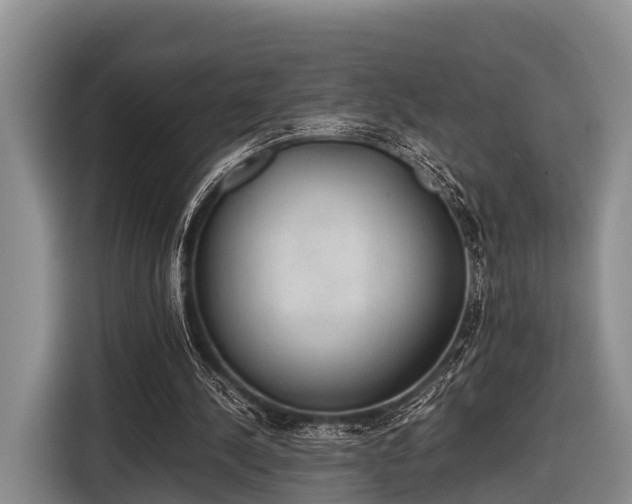 X0000116860244200912291305