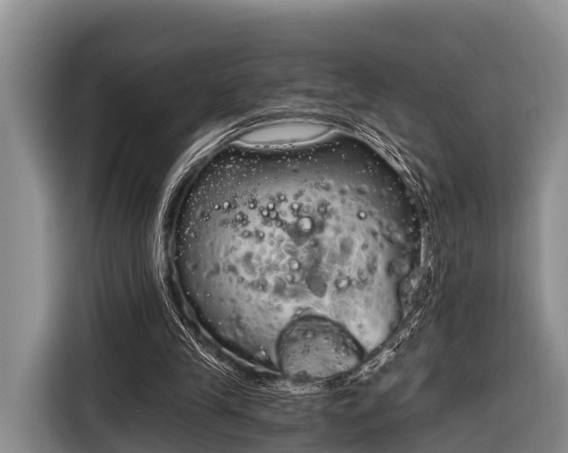 X0000116860245200912291305